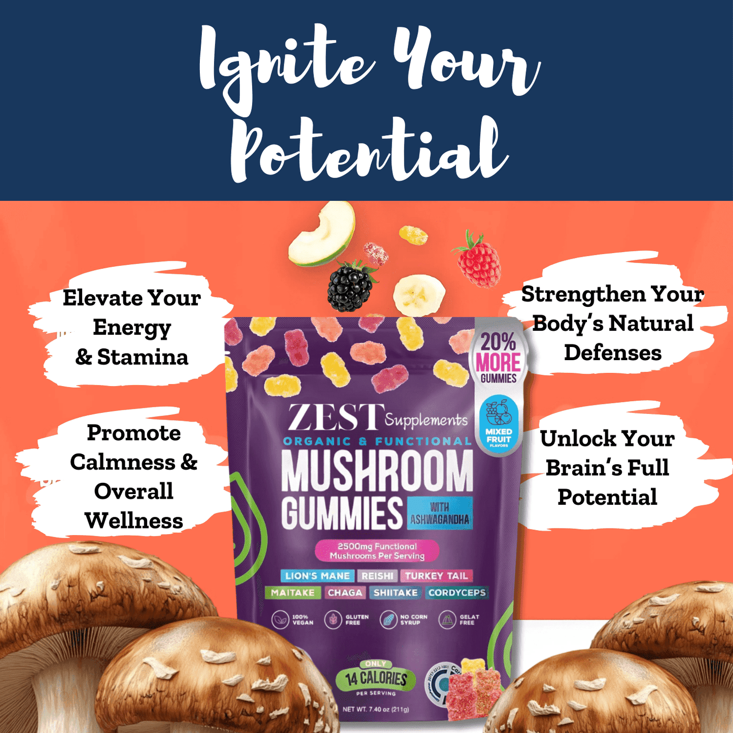 Zest Organic Mushroom Gummies with Ashwagandha for brain support, energy, and stress relief. Features Lion's Mane, Reishi, and Cordyceps extracts.