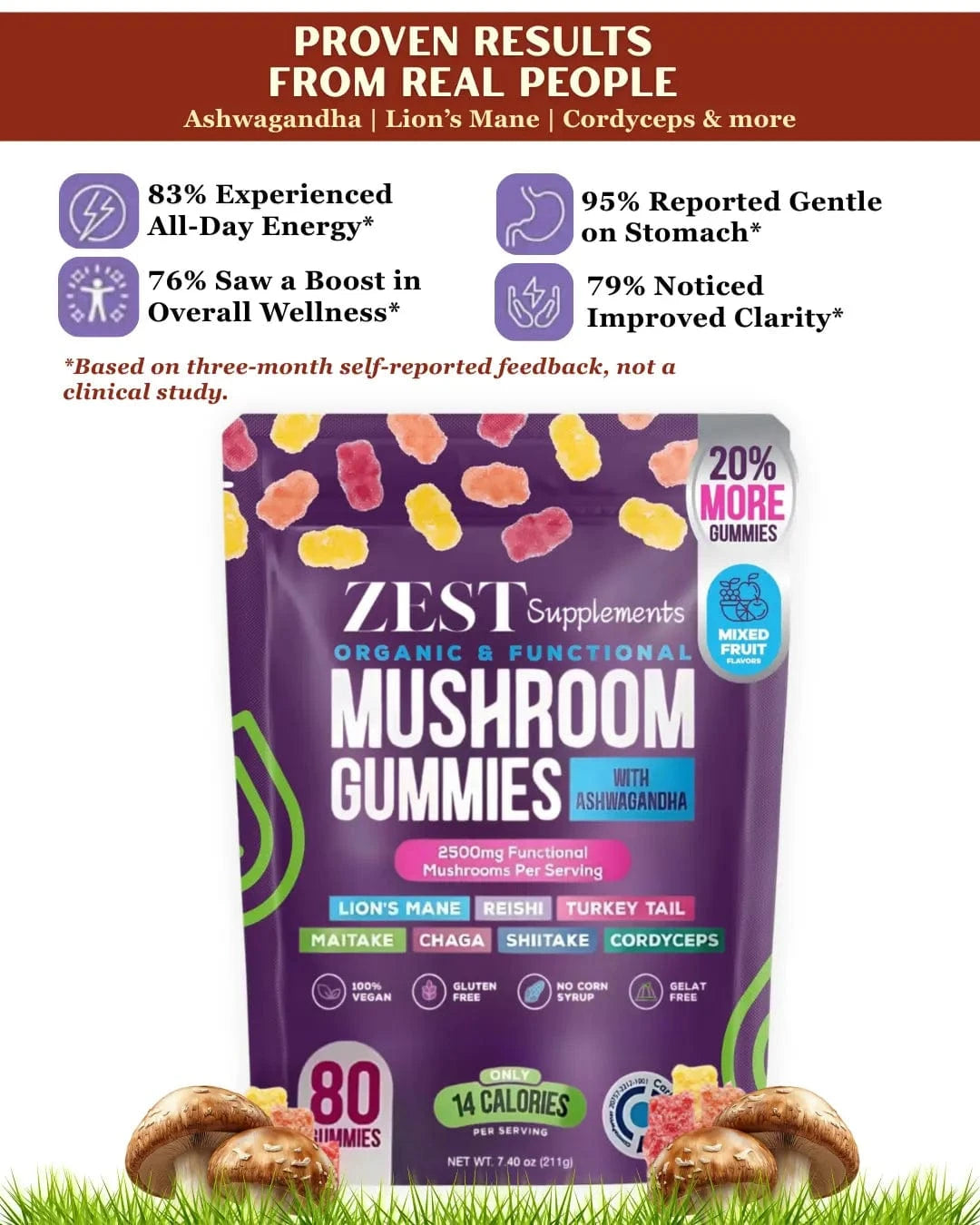 Organic Mushroom Gummies with Ashwagandha – Enhance Brain Support Naturally